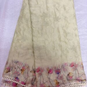 127-Chiffon Pachi Work